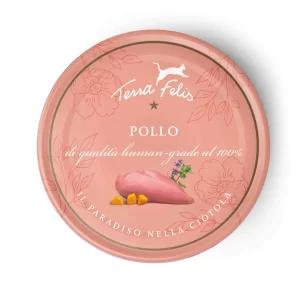Terra Felis Pollo